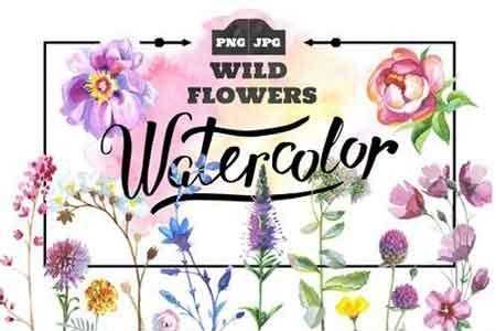 Freepsdvn.com 1811299 Stock Wild Flowers Watercolor Png Set 932555 Cover