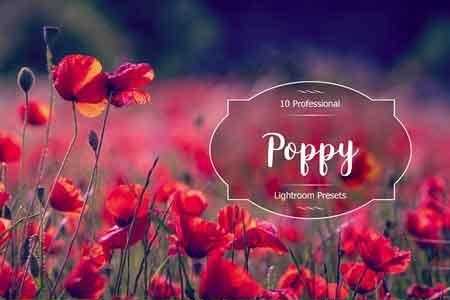 1812034 Poppy Lr Presets 2937265
