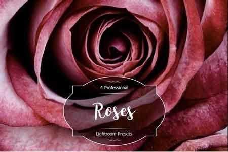FreePsdVn.com 1812148 LIGHTROOM roses lr presets 2947513 cover