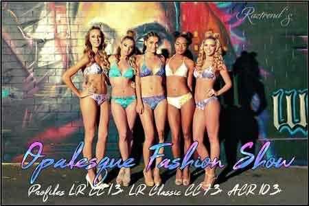 FreePsdVn.com 1812154 LIGHTROOM opalesque fashion show profiles 2952227 cover