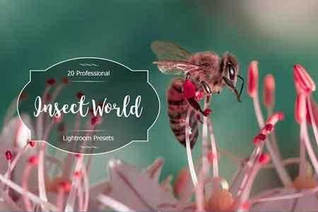 1812176 Insect World Lr Presets 2936994