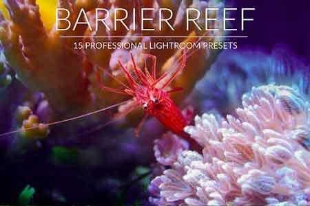 FreePsdVn.com 1812290 LIGHTROOM barrier reef lr presets 2967871 cover