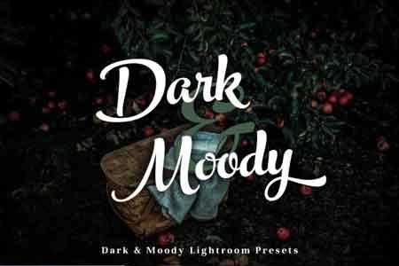 FreePsdVn.com 1812296 LIGHTROOM dark moody lightroom presets 3492045 cover