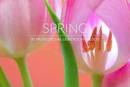 Freepsdvn.com 1812302 Lightroom Spring Lr Presets 2966663 Cover