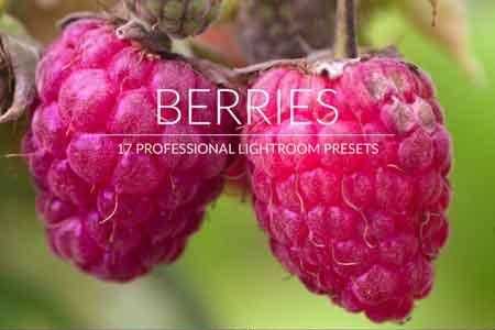 FreePsdVn.com 1812349 LIGHTROOM berries lr presets cover