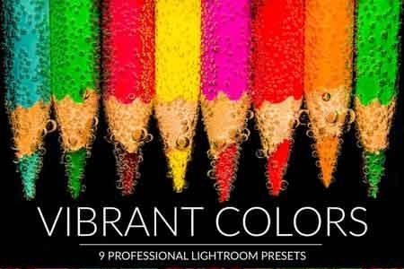 FreePsdVn.com 1813019 LIGHTROOM vibrant colors lr presets cover