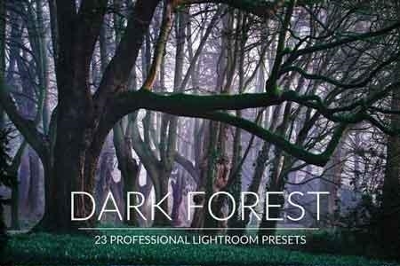 FreePsdVn.com 1813025 LIGHTROOM dark forest lr presets cover