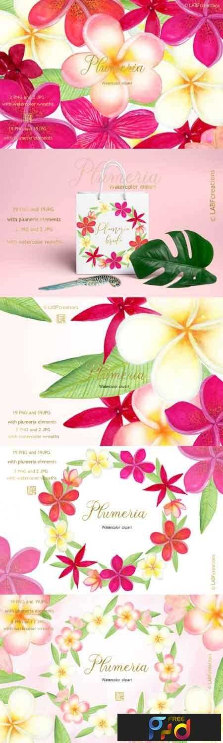 FreePsdVn.com 1813036 STOCK plumeria tropical watercolor flowers 3485422