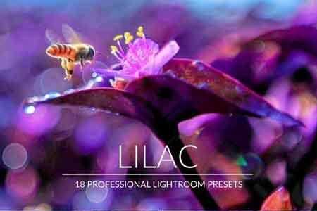 Freepsdvn.com 1813053 Lightroom Lilac Lr Presets Cover