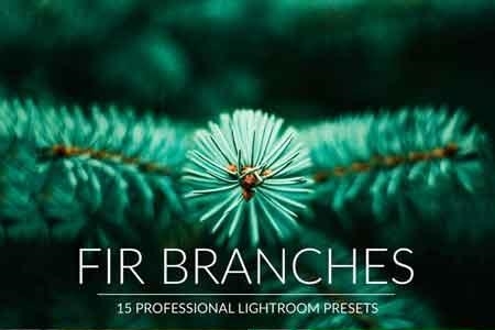 FreePsdVn.com 1813125 LIGHTROOM fir branches lr presets cover