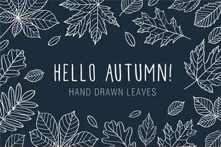 Hand Drawn Leaves of Different Trees 574775