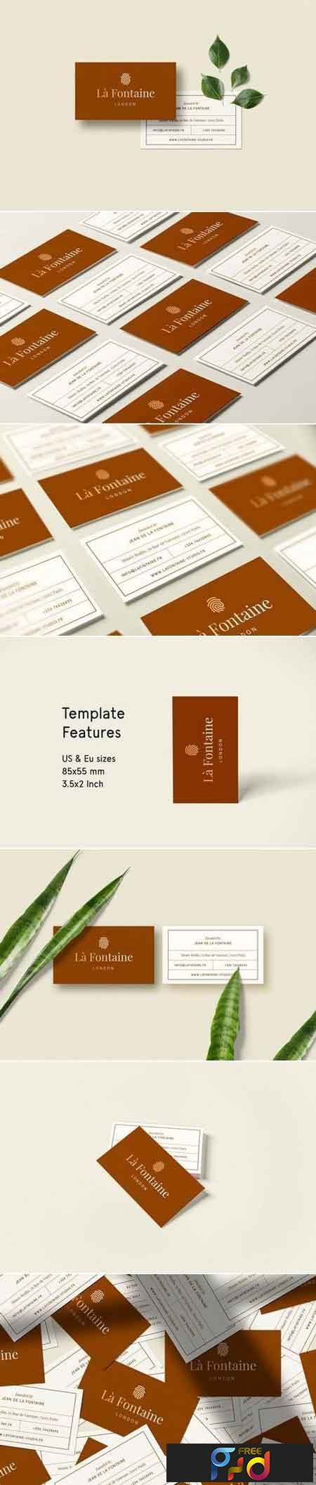 Business Card Template  