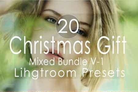 Freepsdvn.com 1815110 Lightroom Christmas Gift Mixed V1 Lightroom Presets 3502494 Cover