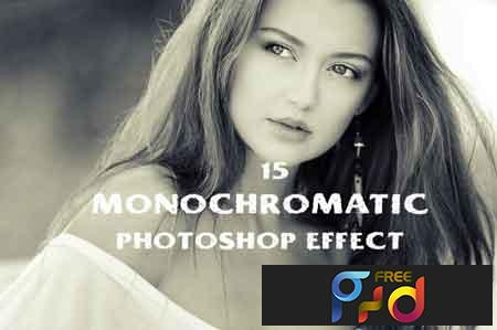 monochromatic effect photoshop action