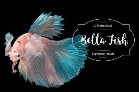 FreePsdVn.com 1817010 LIGHTROOM betta fish lr presets 3488221 cover