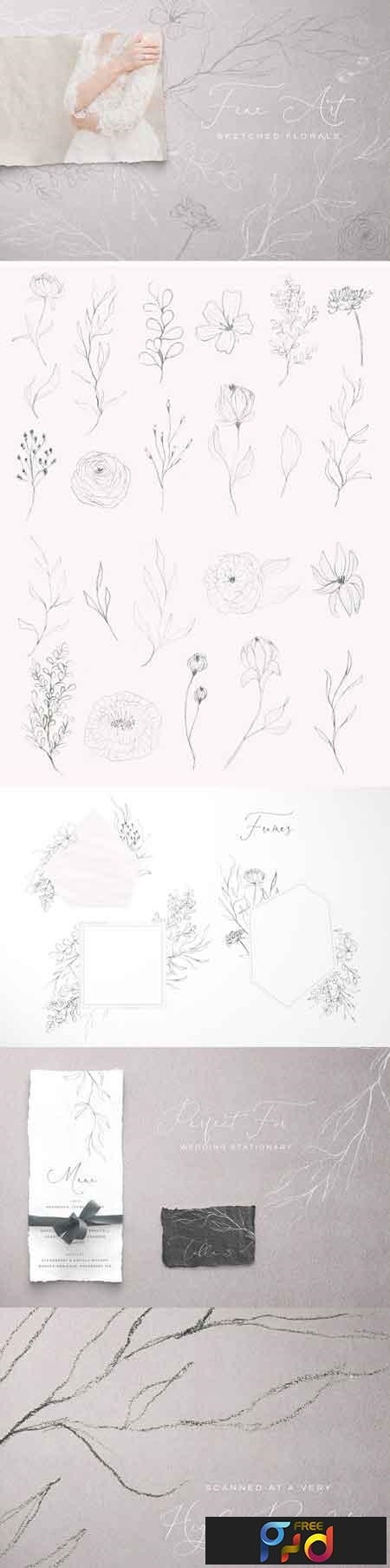 Fine Art Sketched Florals 3156472 1