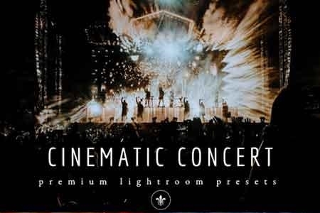 Cinematic &amp; Moody Concert Lightroom Presets 3518988 ...