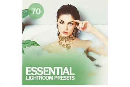 FreePsdVn.com 1901316 LIGHTROOM essential lightroom presets 2770968 cover
