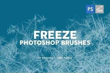 FreePsdVn.com 1901372 PHOTOSHOP 30 freeze photoshop stamp brushes pvcz8t cover