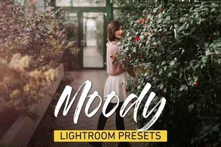 FreePsdVn.com 1901520 LIGHTROOM moody lightroom presets bundle 3320760 cover