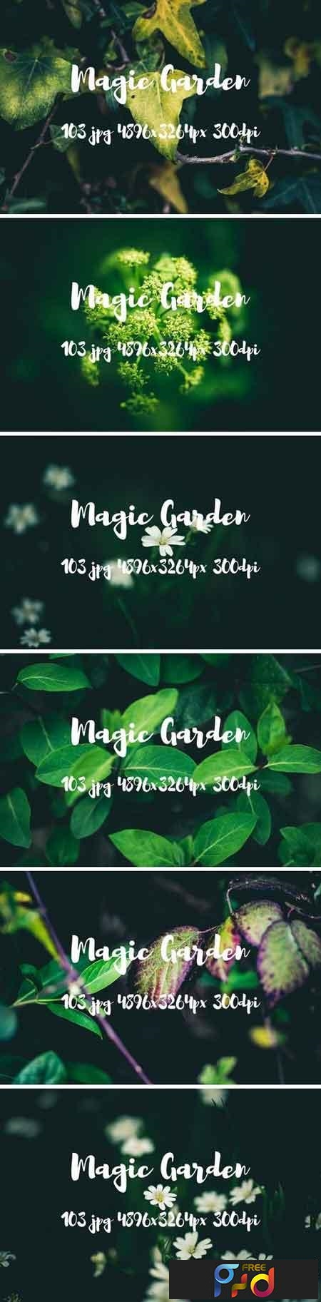 FreePsdVn.com 1902187 STOCK magic garden pack 2482487