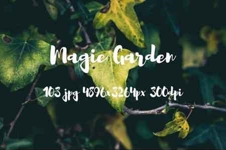 FreePsdVn.com 1902187 STOCK magic garden pack 2482487 cover