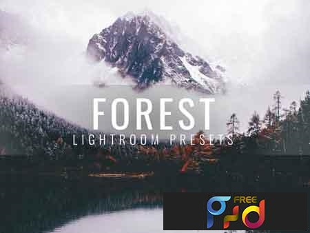 FreePsdVn.com 1903065 LIGHTROOM lightroom presets moody forest 3336411 cover