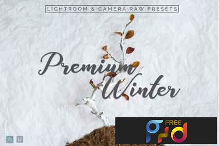 FreePsdVn.com 1903180 LIGHTROOM premium winter lightroom presets 3532749 cover