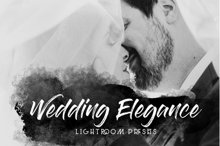 FreePsdVn.com 1904073 LIGHTROOM wedding elegance lightroom presets 3539181 cover
