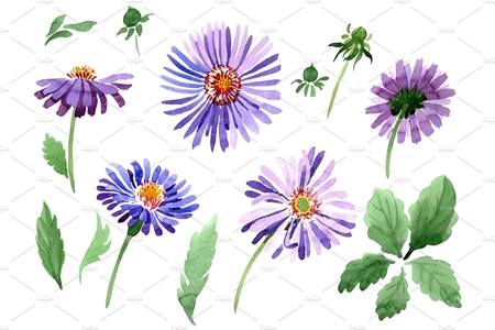 FreePsdVn.com 1904345 STOCK asters watercolor png 3486269 cover