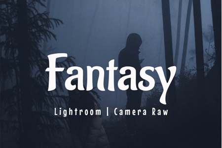 FreePsdVn.com 1905026 LIGHTROOM fantasy lightroom acr presets 3548934 cover