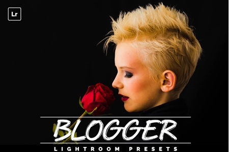 FreePsdVn.com 1905052 LIGHTROOM blogger lightroom presests 3553615 cover