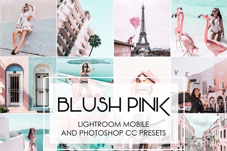 FreePsdVn.com 1905125 LIGHTROOM blush pink lightroom presets 3687661 cover