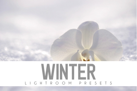 FreePsdVn.com 1905533 LIGHTROOM winter lightroom presets 3564748 cover