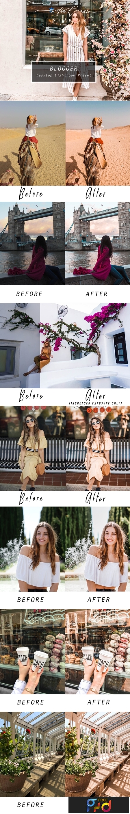 Desktop Lightroom Preset BLOGGER