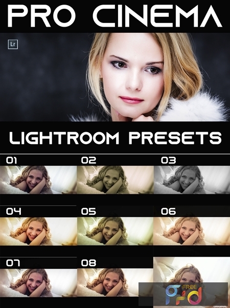 Pro Cinema Lightroom