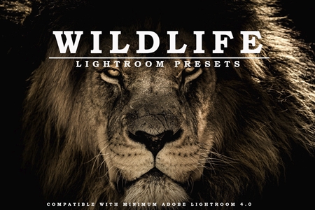FreePsdVn.com 1906483 LIGHTROOM wildlife lightroom presets 3585398 cover