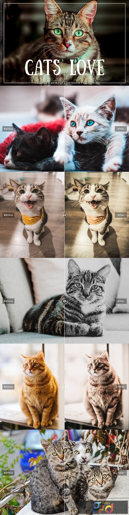 Cats Love Mobile & Desktop Lightroom Presets