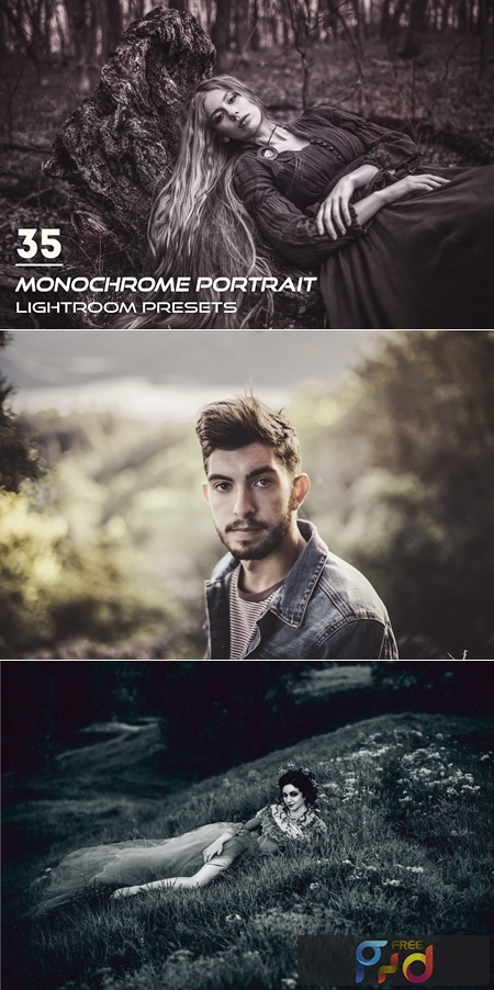 Monochrome Portrait Lightroom Presets