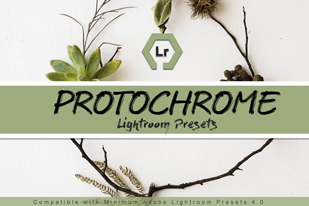 FreePsdVn.com 1907039 LIGHTROOM protochrome lightroom presets 3587409 cover