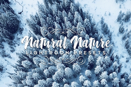 FreePsdVn.com 1907173 LIGHTROOM natural nature lightroom presets 3593138 cover