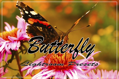 FreePsdVn.com 1907334 LIGHTROOM butterfly instagram blogger lightroom presets 3602234 cover
