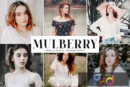 Mulberry Mobile & Desktop Lightroom Presets