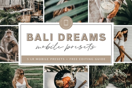 Freepsdvn.com 1907482 Lightroom Bali Lightroom Mobile Presets 3908640 Cover