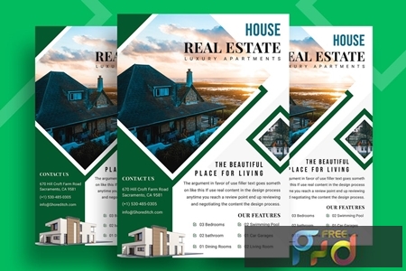 Real Estate Property Flyer-06