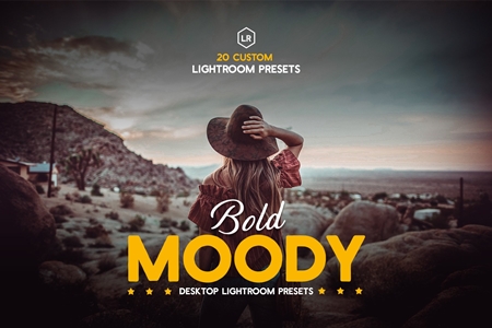 FreePsdVn.com 1908161 LIGHTROOM bold moody lightroom presets 3884638 cover