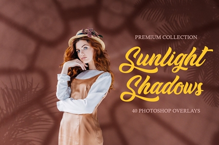 FreePsdVn.com 1908296 STOCK sunlight shadows photoshop overlays 3894421 cover