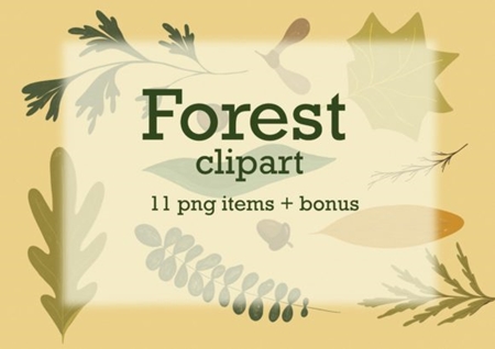 FreePsdVn.com 1908404 STOCK forest clipart botanical illustrations 1673845 cover