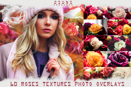 Freepsdvn.com 1908422 Stock Red Rose Petals Photoshop Textures 1666699 Cover