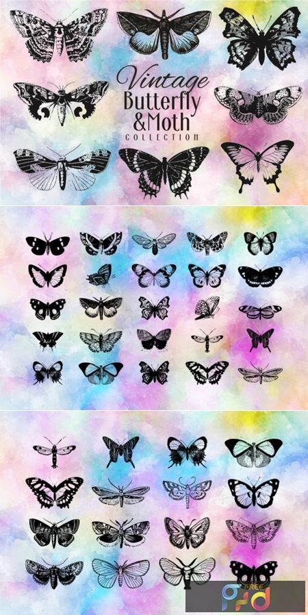 FreePsdVn.com 1908538 VECTOR vintage butterfly collection 1715315